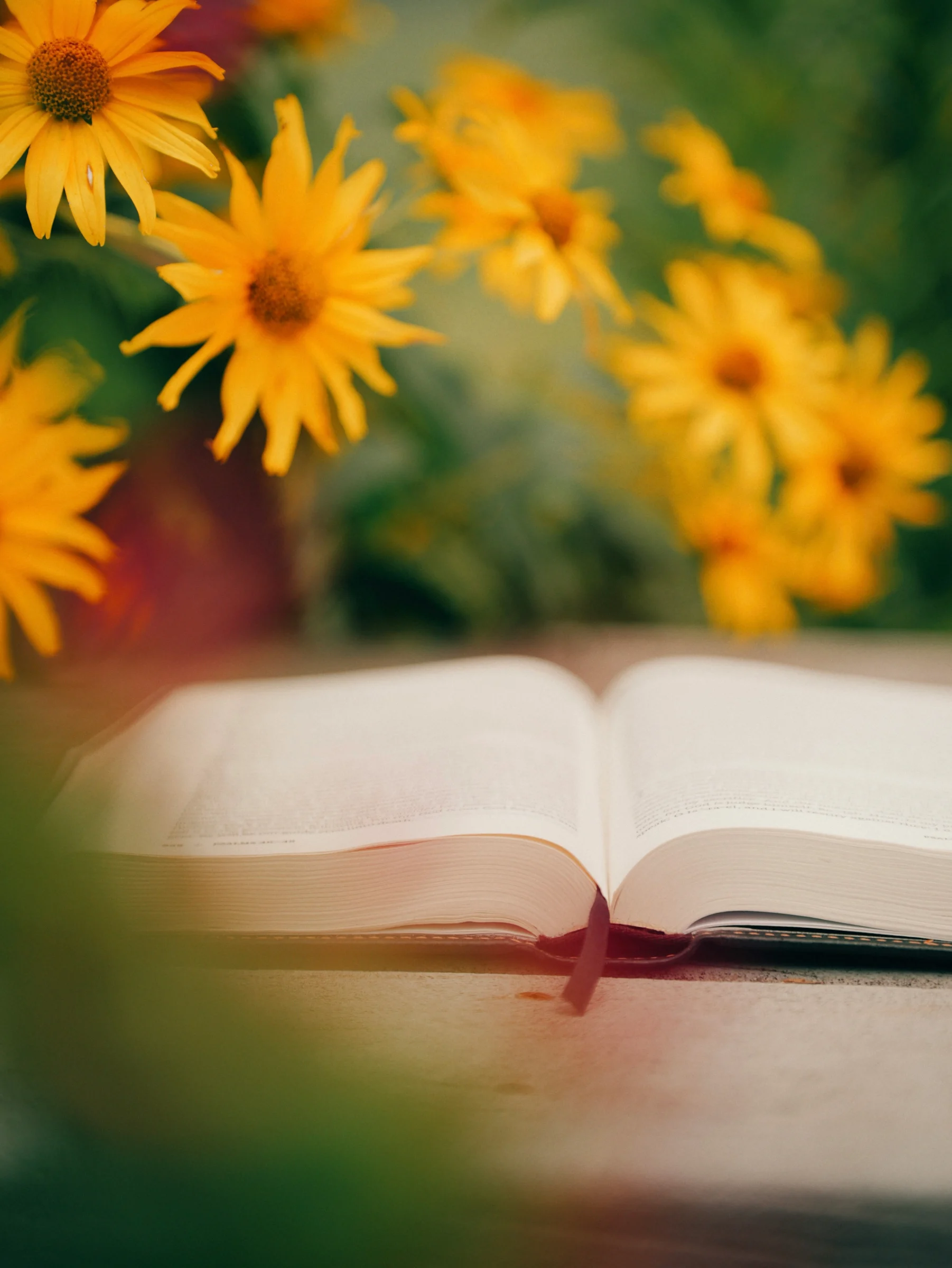 yellow flowers with a book open with a red thread marker, denoting a new chapter